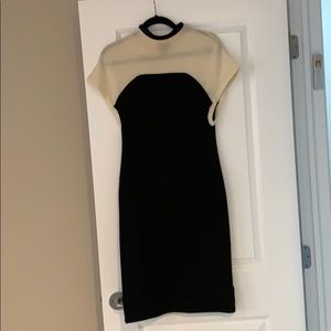 Banana Republic cashmere dress